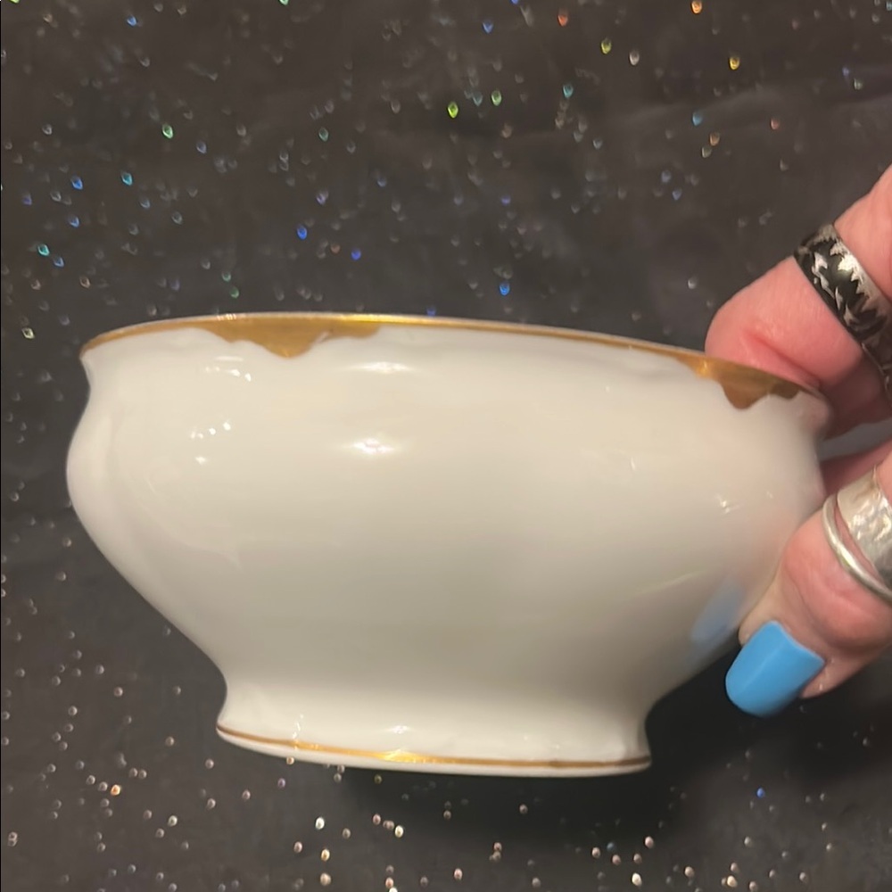 DAE Royal Austria White & Gold Dinnerware Bowl